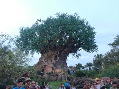 -奥兰多迪士尼动物王国乐园