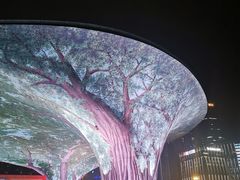 -星巴克(福州万象九宜城分店)