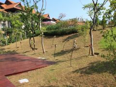 IMG_4688-三亚海棠湾万丽度假酒店