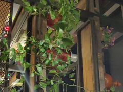 -探鱼·鲜青椒爽麻烤鱼(西南商都店)