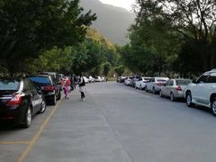 荔枝园柴火大灶传统焖羊肉-荔枝园美食山庄(贞山风景区店)