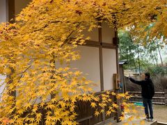 -常寂光寺