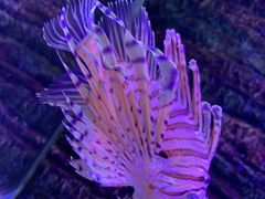 -秦皇岛新澳海底世界
