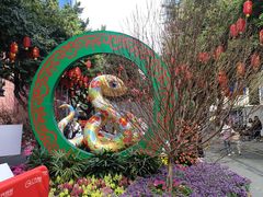 -越秀西湖花市(广州城市广场花卉店)