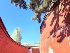 -五台山风景名胜区-罗睺寺