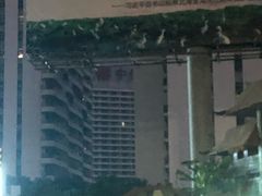 -北海金海湾红树林生态旅游区