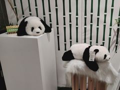 -竹鲜笙全竹宴(国色天香店)