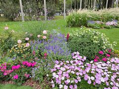 -深圳国际园林花卉博览园