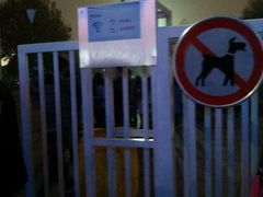 -南京奥林匹克体育中心-体育馆