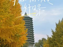 -玲珑塔公园