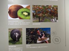 -上海中国航海博物馆