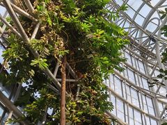 -郑州植物园