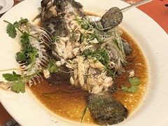 -葡京日丽(澳门葡京酒店)