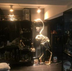 -白泽刺青纹身