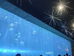 -西安华夏文旅水世界