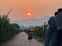 -君乐宝优致牧场