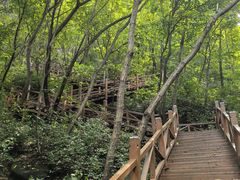-大岭沟猕猴桃谷风景区