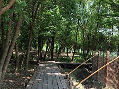 -长田漾湿地公园