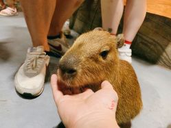 -Zoolung Zoolung动物主题公园(海信广场店)