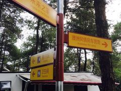 -铁山坪森林公园