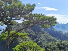 -大连天门山国家森林公园