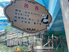 -大青山野生动物园