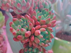 -三旗百汇商品城