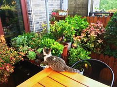 -IFIF 如果花園(宽厚里店)