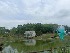 -大塘金香草谷