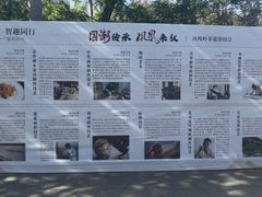 -北京凤凰岭
