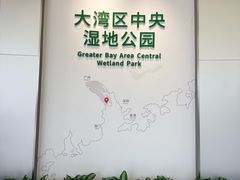 -大湾区中央湿地公园