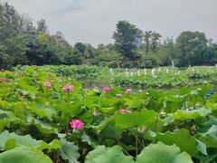 景点-成都市文化公园