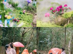 -龙湾潭国家森林公园