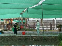 -鹅湖玫瑰文化园
