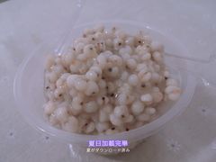 -老周记顺德双皮奶