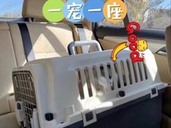-平安金融中心云际观光层