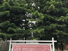 -三塔倒影公园