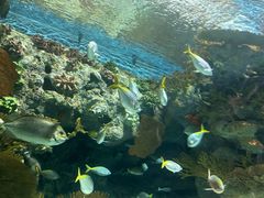 -上海海洋水族馆