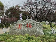 -上海海湾国家森林公园