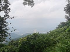 -武陵山森林公园