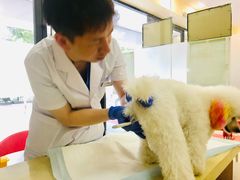 -艾贝尔宠物诊疗