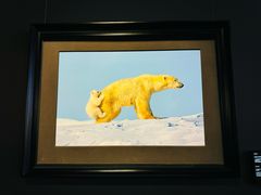 -罗红摄影艺术馆