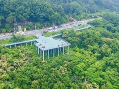 -南京老山国家森林公园