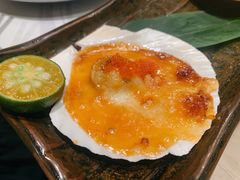烤芝士扇贝王-大渔铁板烧(蛇口店)
