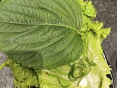 -完美生活炭火烤肉(二马路店)