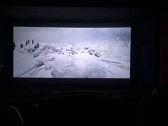 -万达影城(锦华万达广场IMAX店)