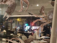 -新花城蟹粉馆(乌鲁木齐店)