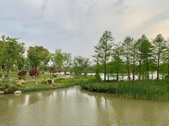 -九科绿洲