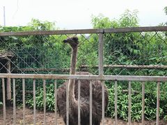 -河北村民俗体验园