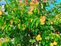 -庆岭迎宾园正宗活鱼馆